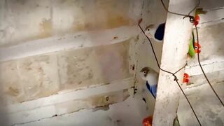 Bú tiếp :PPP