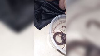 Thả giun ra sau khi nuôi được