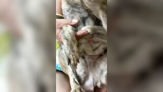 Pet cưng 3