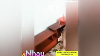 Cho Bạn Thân Xuất Tinh Trong Lồn Vợ Mới Cưới 2 3