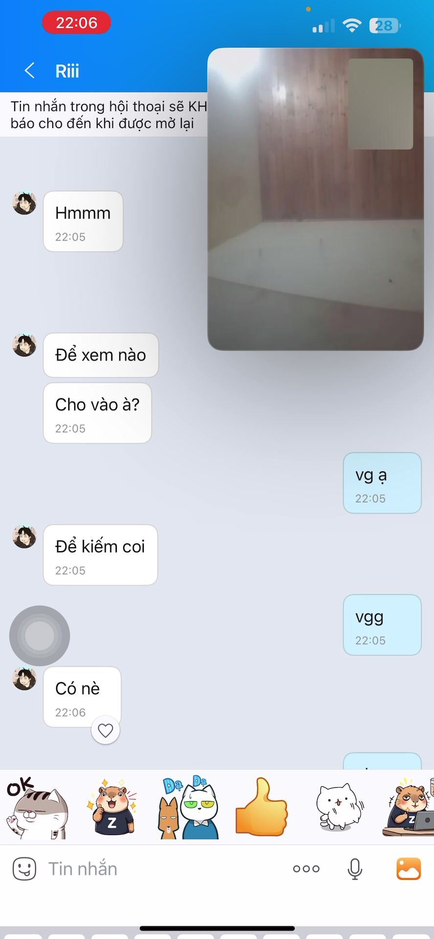 e gái