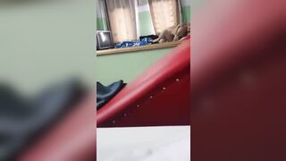 Cận cảnh quá trình djt xuất tinh đầy lồn con bạn thân r lau