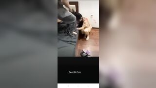 Clip Hot Căn Phòng Bất Ổn Nhất Lúc Này Trên Mạng Xã Hội