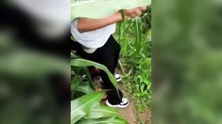 Thằng khốn nạn hấp dâm em học sinh ở ruộng ngô và ăn 10 cuốn lịch