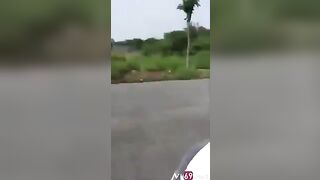 Nỉ niệm, Được con bạn thân bầu 3 thg vú khủng cho djt nhâm ngày sinh nhật