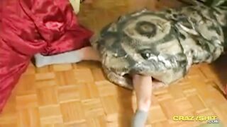 P36Tôi đang xem cái quái gì vậy Nhật Bản