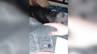 Ciu a nhỏ zị!