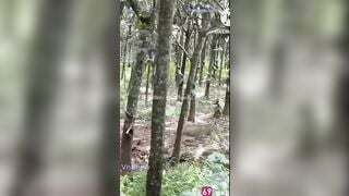 Độc lạ, Mỹ hạnh2000 show lồn thủ dâm đái ra đường gạ djt người lạ