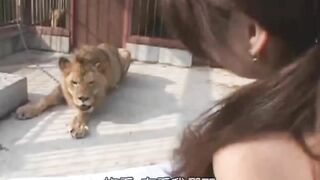 Vl chơi nhau trong chuồng sư tử ạ