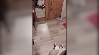 Địt em sinh viên vú to bú chim bú mút trứng dái dâm đãng hàng ngon