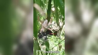 Vcl ạ, Quay lén 2 e L0P7 DÂN TỘC djt nhau trong rừng