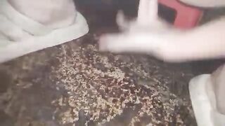 qua khúc tới tháng là móc thoải mái hahaha
