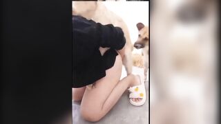 động vật vui vẻ 3