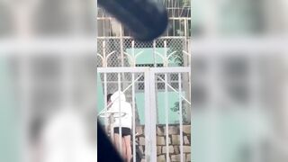 Học sinh biên hoà. Mò cua bắt ốc nấu cháo lưỡi ngoài đường luôn