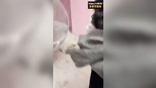 đánh ghen lột đồ xong *** dâm luôn tiểu tam của chồng quá đã