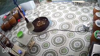Hack camera p1