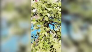 Nứng quá em móc thủ dâm tại bể bơi luôn