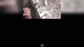 Trai tây chịch chó cái ngoài dồng