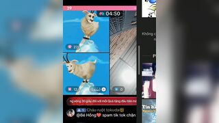 Chuột trả kèo tiktok