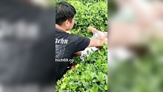 Shock, E teen C2 đi hc về bị lôi vào bụi Hấp dâm đè ra chịch