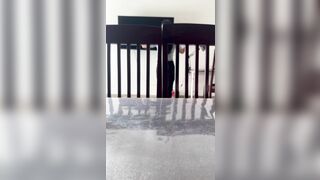 Xin lỗi vk ck ko có lỗi
