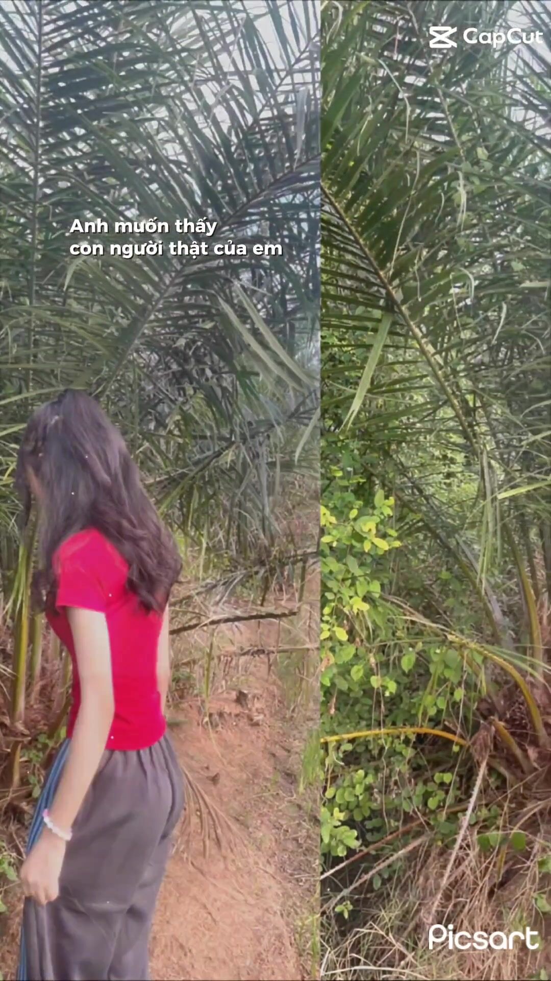 Rũ thầy đi chơi trung thu, chả thấy đèn ông sao đâu mà chỉ toàn thấy cac vs cơ🤤🤭