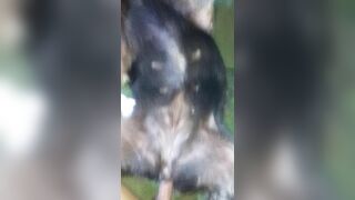 Đụ chó cái 2