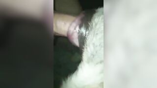Anh trai đụ em chó cái bót cặc
