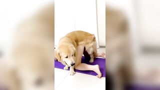 Em gái ở nhà nứng lồn quá kêu chó lại cho liếm lồn rồi địt nhau với chó cho sướng lồn