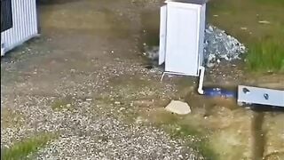 Định địt tí mà sập cả wc
