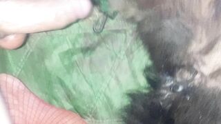 Xuất tinh vào lol cún cưng