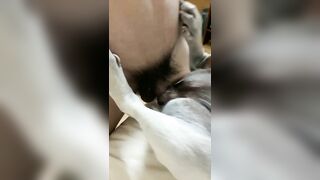 Đụ em chó bắn tinh lên lán lên bụng