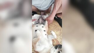 Anh trai cu to đụ em chó