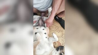Anh trai cu to đụ em chó