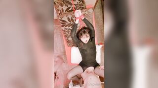 Layboy.  Mira table - Korean, Tranny, Shemale Porn