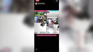 Trả kèo tiktok 8