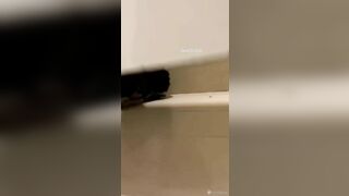Dẫn người yêu vào WC trung tâm thương mại chịch