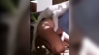 Chơi với chó nhà mới nuôi được 8 tháng