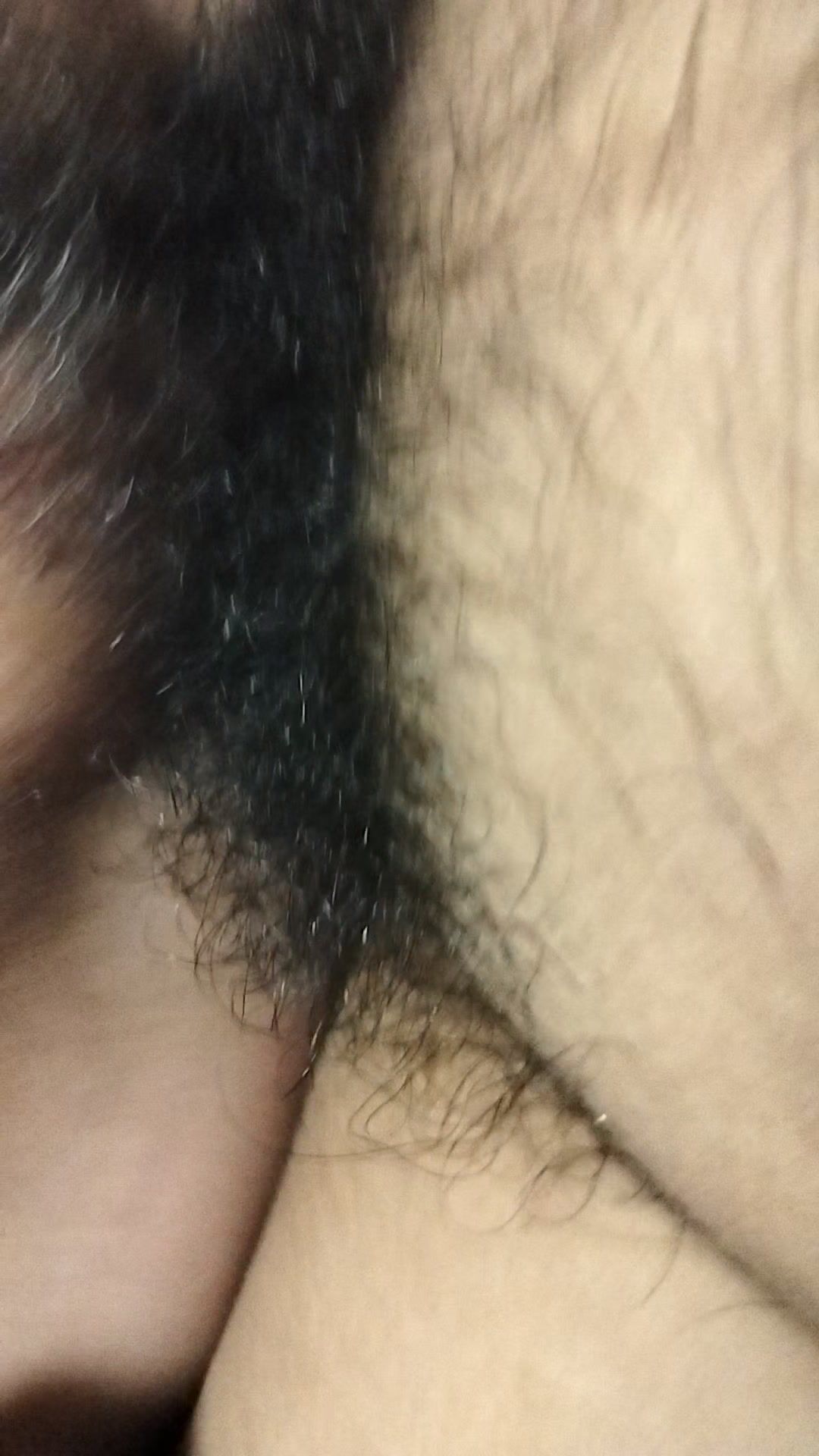 Dâm tình