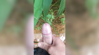 Niềm vui trên núi rừng (dành cho chị em)