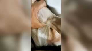 fuck *** khẩu dăm