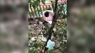Quay lén người lạ địt nhau ngoài công viên