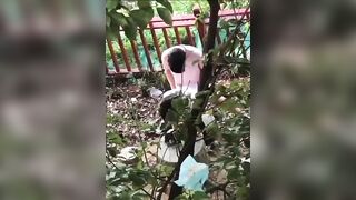 Quay lén mấy em học sinh ra công viên địt nhau dâm đãng