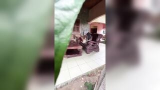 Quay lén chị hàng xóm ngồi thủ dâm trên ghế quay lại gửi cho trai