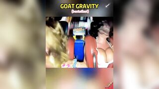 Tổng hợp, Mấy r đi Tàu Lượn Lộ hệ Cả Vú To Hồng hào, Như Dưa hấu
