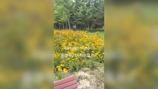Chơi cô em họ mới lớn vú to đủ mọi tư thế