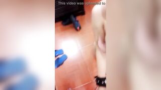 Huấn luyện con chó cái nô lệ tình dục