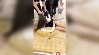 Chồng Vừa địt xong gái, Bị Vợ Đánh ghen Tiểu tam là Tiktoker 2m FL
