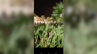 Public công viên tây ninh