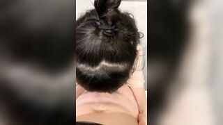 Đến nhà thầy giáo học vẽ em học thì ít mà bú cu thì nhiều 5